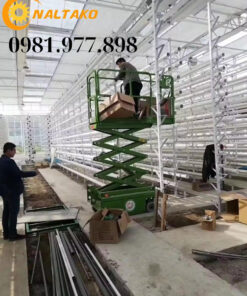 Xe Nâng Người Mini 2