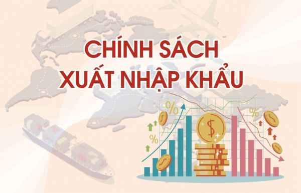 Một số chính sách nhập khẩu sàn nâng 