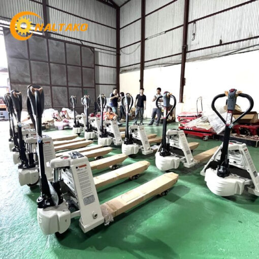 Xe Nâng Điện Thấp 7