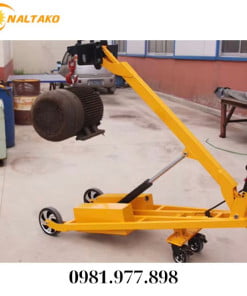 Xe Nâng Tay Điện 300kg